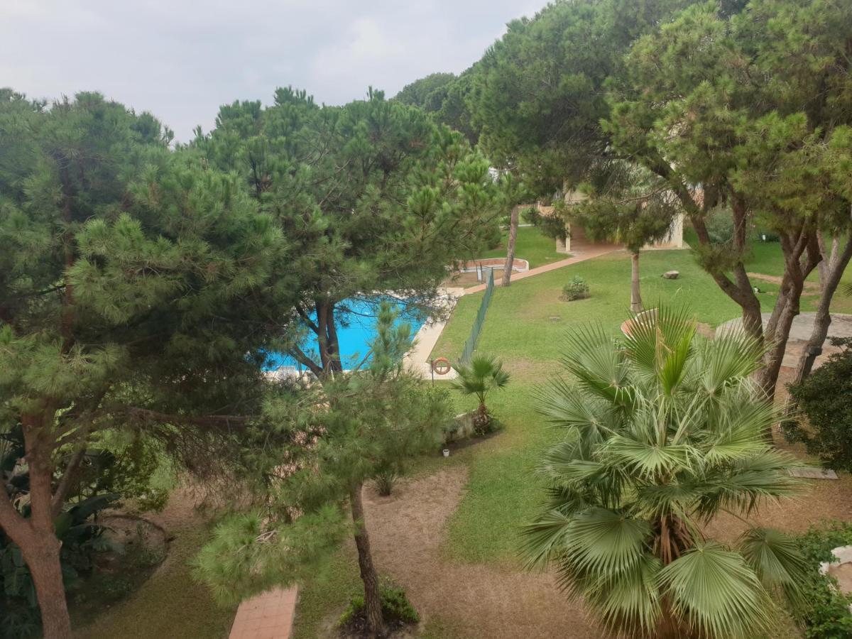 Precioso Estudio Con Piscina A 200M Del Mar Марбеля Екстериор снимка